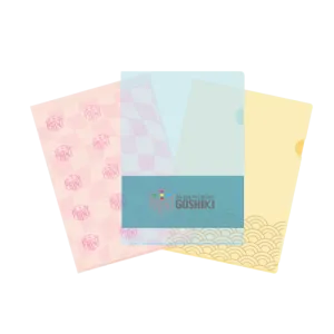 Clear File Folders - Plastic folder Full color print Letter Size