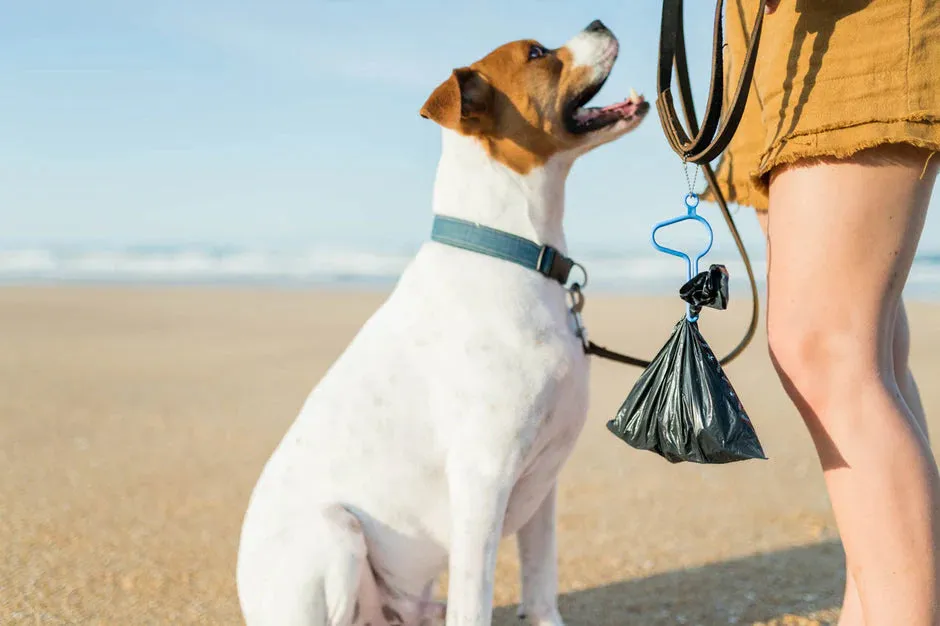 Doo Loop- Dog Bag Holder