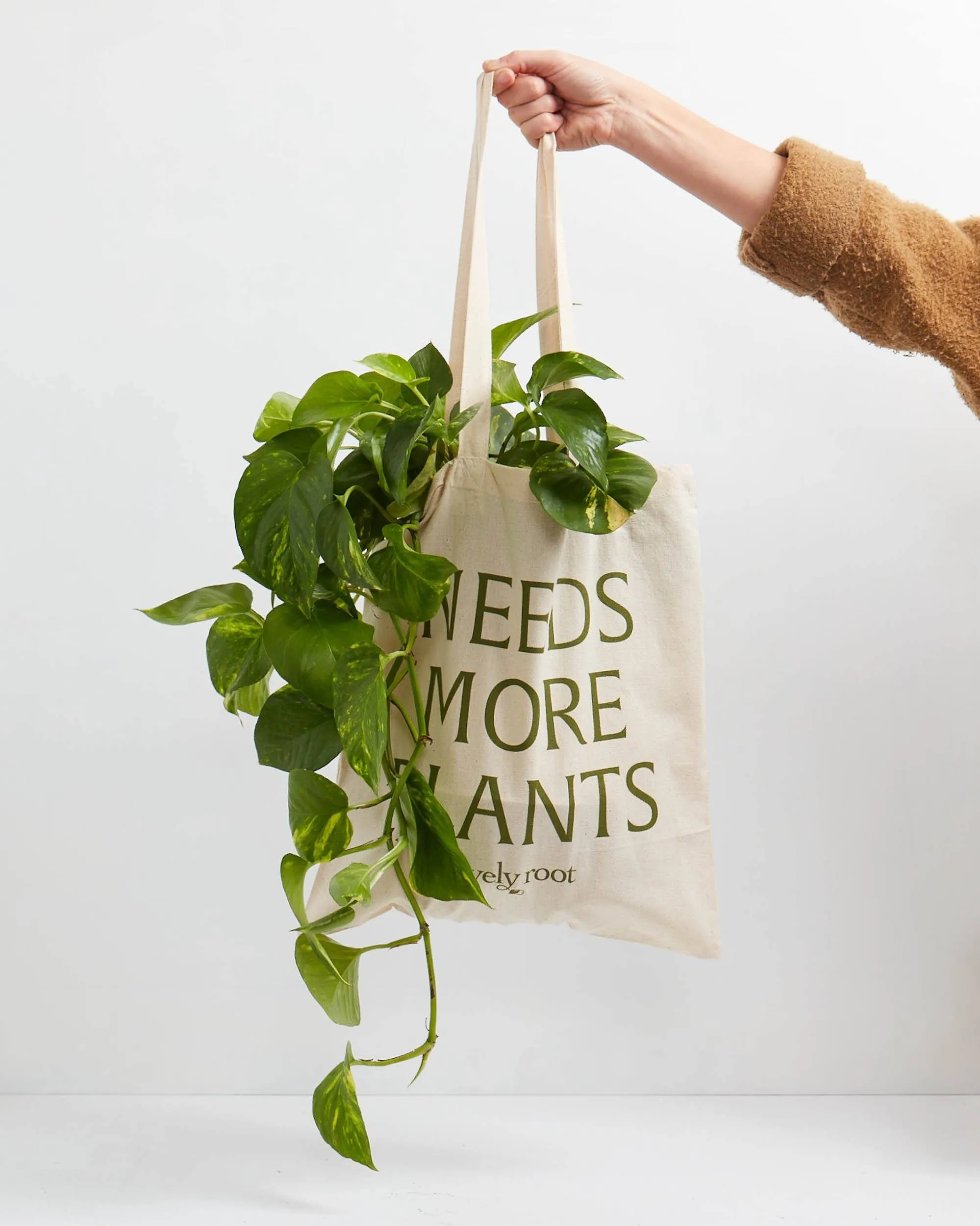 Needs More Plants Tote