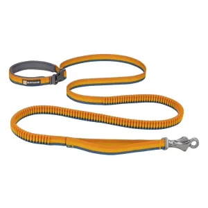 Roamer Bungee Lead